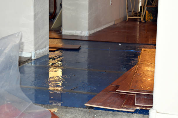 Professional Basement Flood Cleanup technician working in Dawn, TX